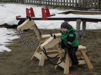 Sibirisk Hest 1-2 år